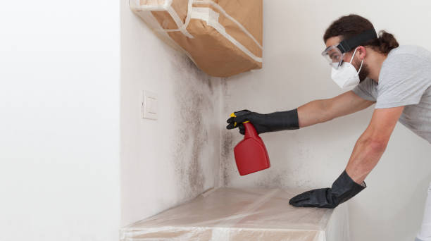 Professional Crawl Space Mold Remediation technician working in Clearwater, MN