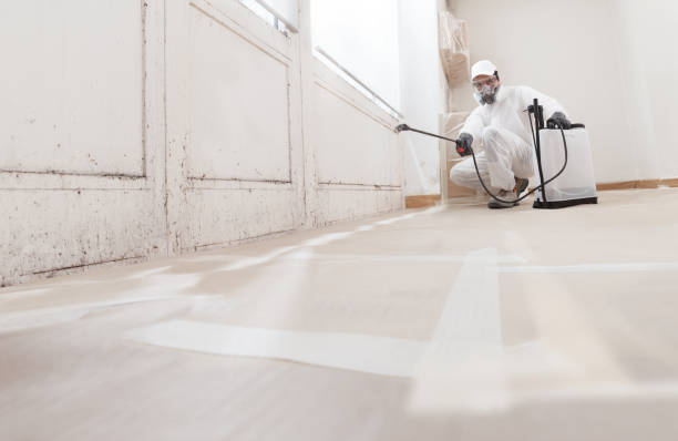 24/7 Emergency Crawl Space Mold Remediation experts in Clearwater, MN