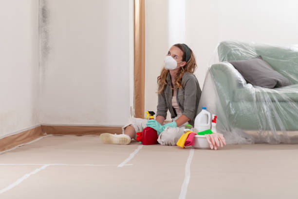 Reliable Crawl Space Mold Remediation contractor in Clearwater, MN by Mold Remediation HQ